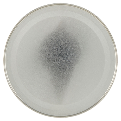 Pesoforma Vaniglia Smoothie, Pasto sostitutivo gusto Vaniglia, Shake per controllo del peso - 436g