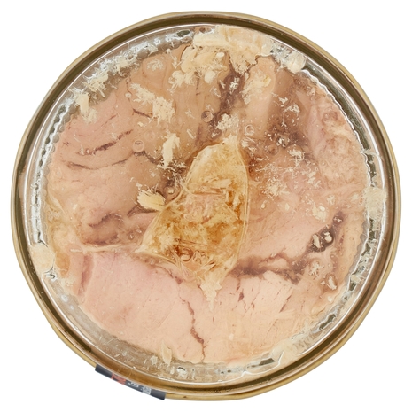 Filetti di Tonno Alalunga all'Olio di Oliva Il Viaggiator Goloso