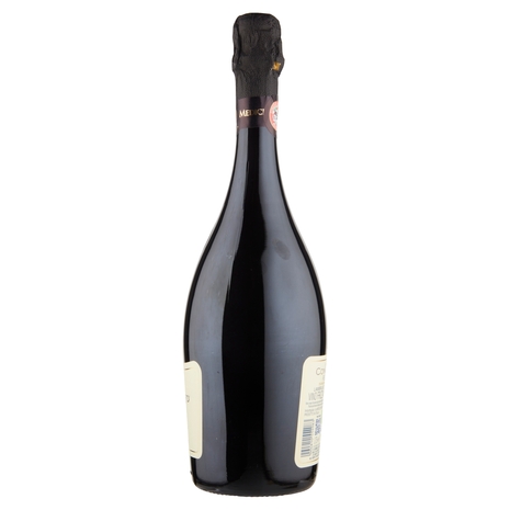 Medici Ermete Concerto Lambrusco Reggiano 0,75 L