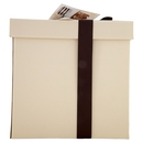 Strenna di Natale Pandoro Il Viaggiator Goloso