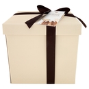 Strenna di Natale Pandoro Il Viaggiator Goloso