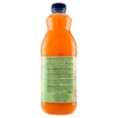 San Benedetto Succoso ACE 1,5L