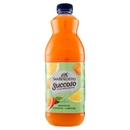 San Benedetto Succoso ACE 1,5L