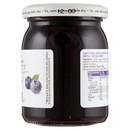 Vis Più Frutta Light Mirtilli 220 g