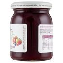 Vis Più Frutta Light Frutti di Bosco 220 g