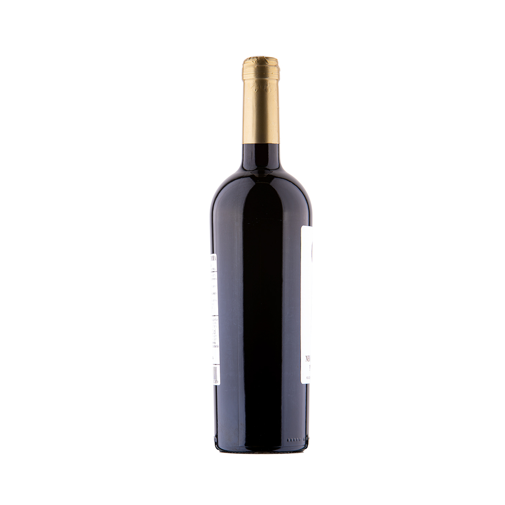 Nero di Troia Diecinovedieci, 75 cl