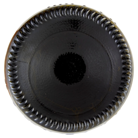 Modavin Pignoletto DOC Vino Frizzante 75 cl