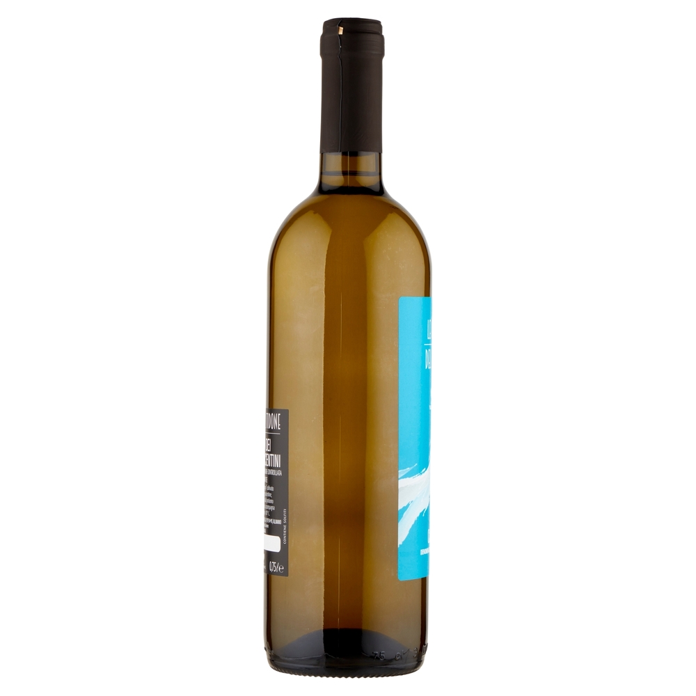 Cantina Valtidone le Ghiaie del Tidone Ortrugo dei Colli Piacentini DOC Vino Frizzante 0,75 l