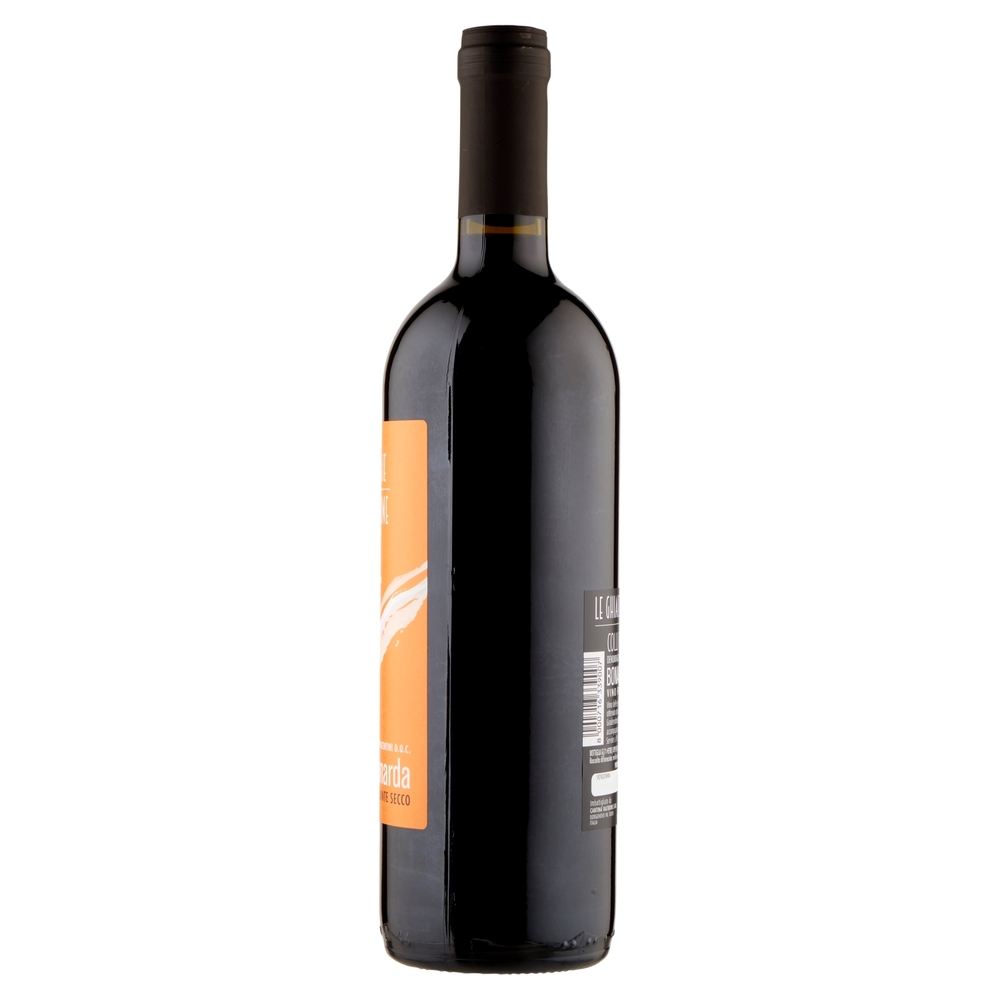 Cantina Valtidone le Ghiaie del Tidone Colli Piacentini D.O.C. Bonarda Vino Frizzante Secco 0,75 l