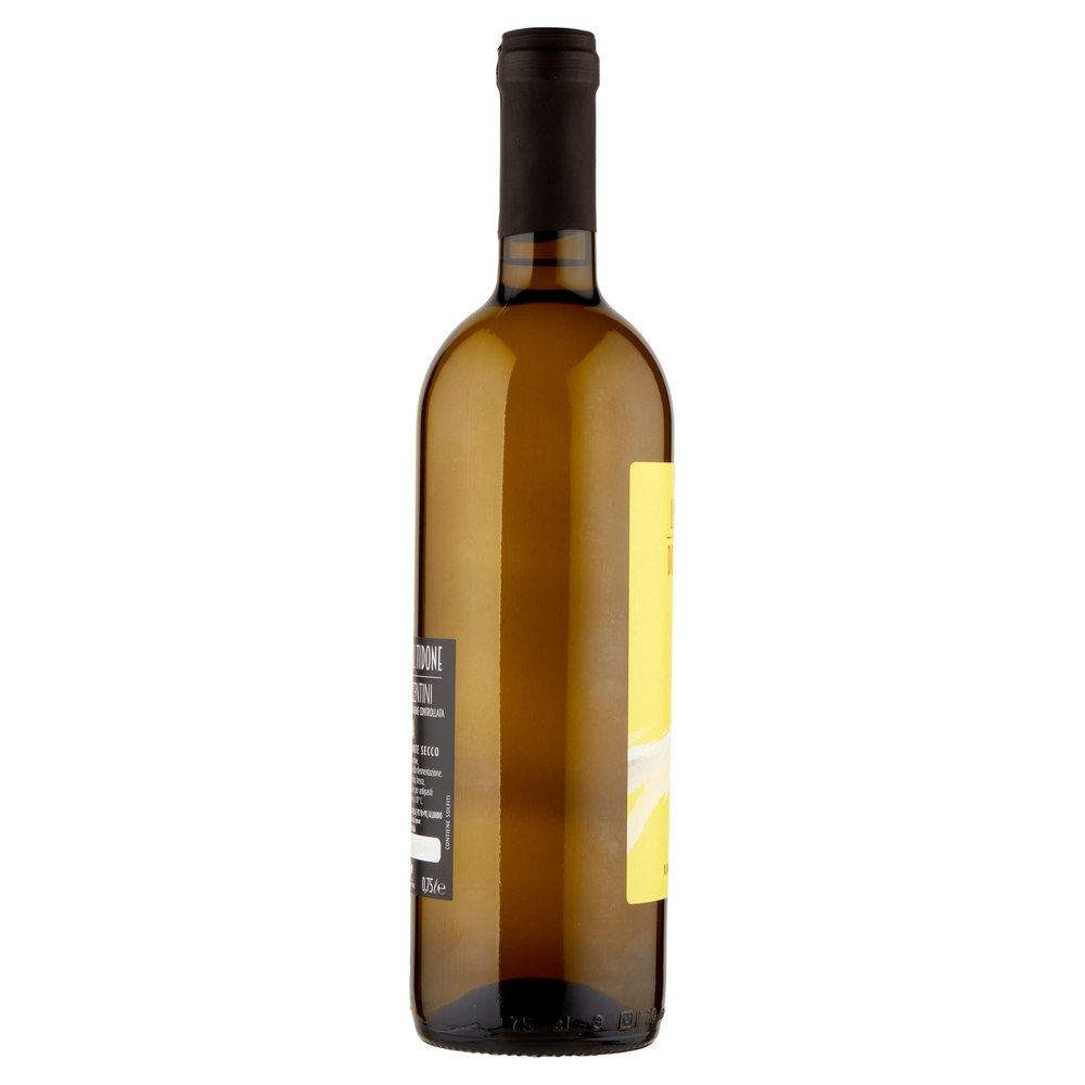 Cantina Valtidone le Ghiaie del Tidone Colli Piacentini D.O.C. Malvasia Vino Frizzante Secco 0,75 l