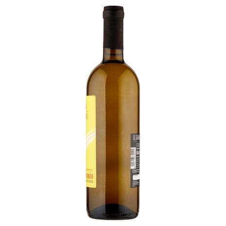 Cantina Valtidone le Ghiaie del Tidone Colli Piacentini D.O.C. Malvasia Vino Frizzante Secco 0,75 l