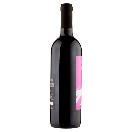 Cantina Valtidone Le Ghiaie del Tidone Colli Piacentini DOC Bonarda Vino Frizzante Amabile 0,75 l
