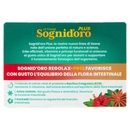Sognid'oro Plus le Tisane Regolax-Pro Bustine 14 x 4 g