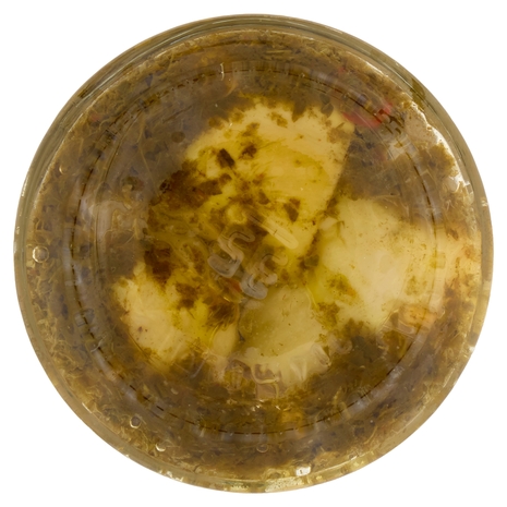 Carciofini Il Viaggiator Goloso