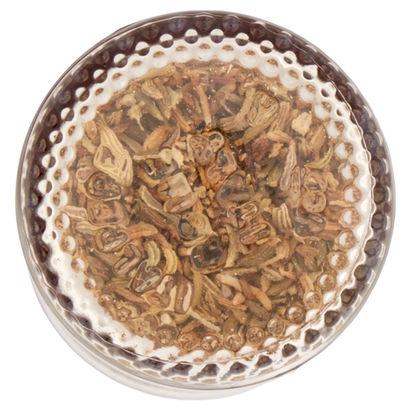 Italpepe Finocchietto Semi 28 g