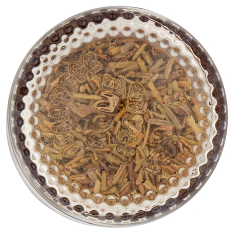 Italpepe Rosmarino Foglie 18 g