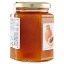 COMPOSTA DI ALBICOCCHE il Viaggiator Goloso il Biologico