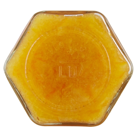 COMPOSTA DI ARANCE il Viaggiator Goloso il Biologico