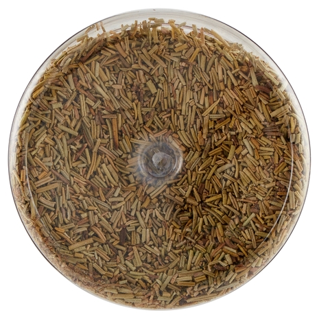 Italpepe Rosmarino Foglie 150 g