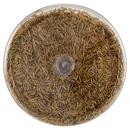 Italpepe Rosmarino Foglie 150 g