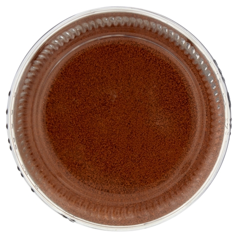 tcs Bio Cicoria Bio Solubile 100 g