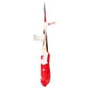 Kinder Happy Calza Wish 10 pezzi 110 g