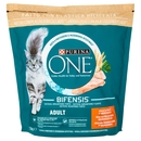 PURINA ONE Adult Ricco in Pollo 1,5 kg
