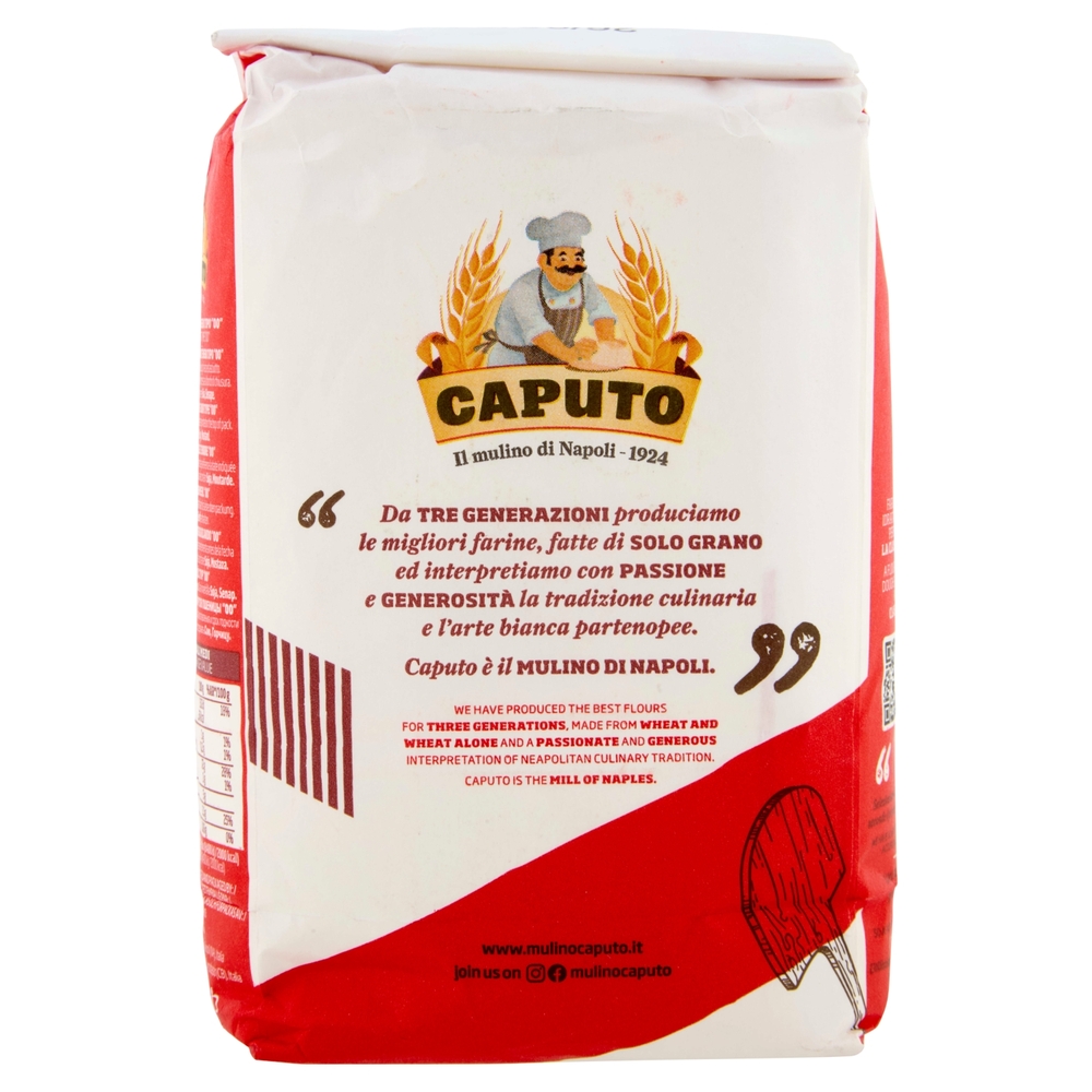Caputo Pizzeria Farina di Grano Tenero Tipo