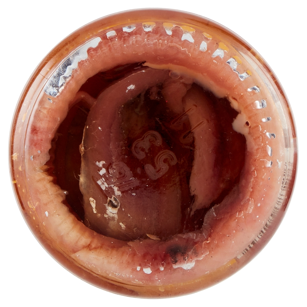 Zarotti Aperitips Filetti di Alici Sfiziosi 50 g