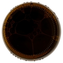 Ceres Strong Ale 7,7 50 cl