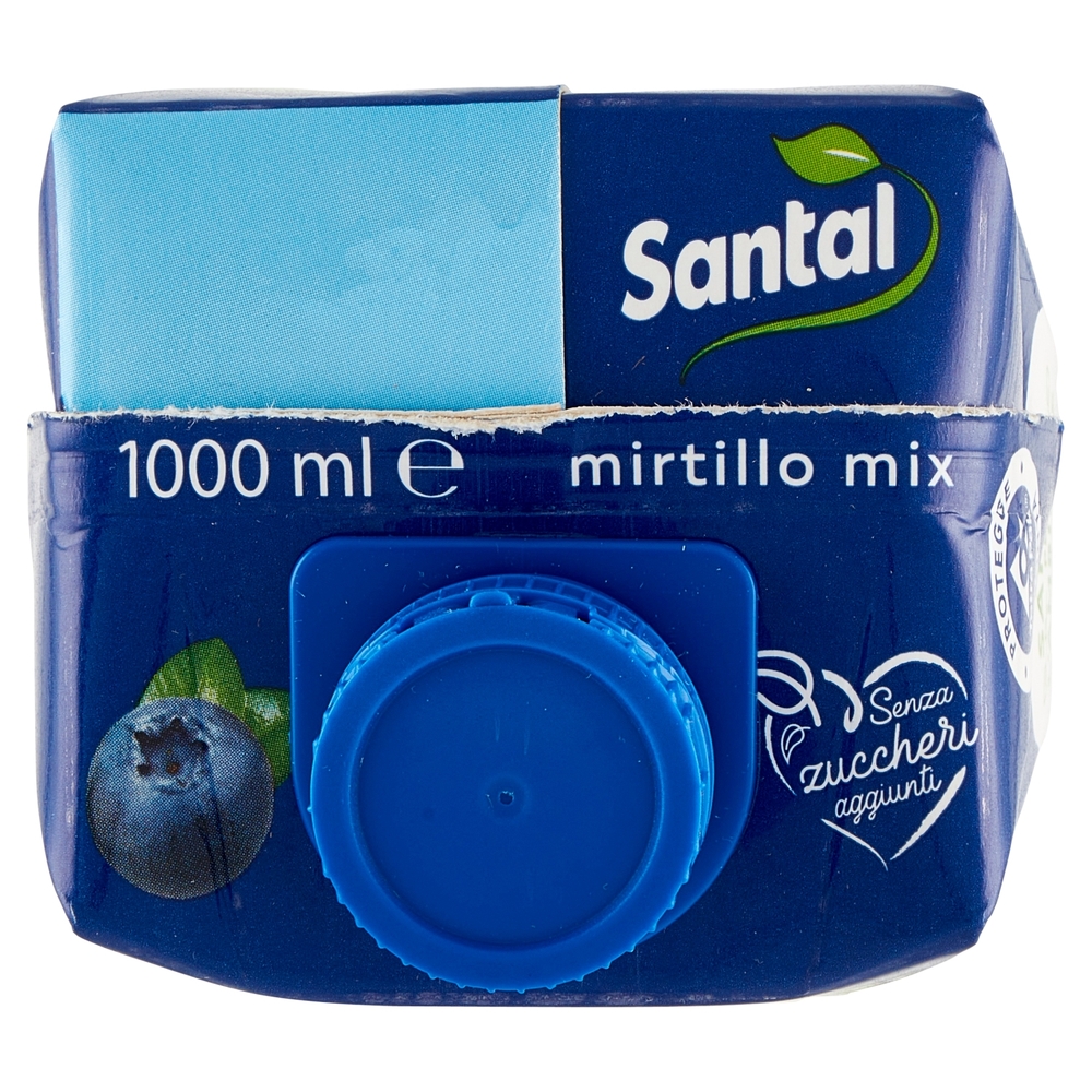 Santal Dolce di Natura mirtillo mix Senza Zuccheri Aggiunti 1000 ml