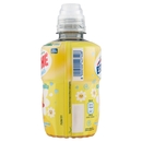 Estathé deteinato camomilla 250 ml