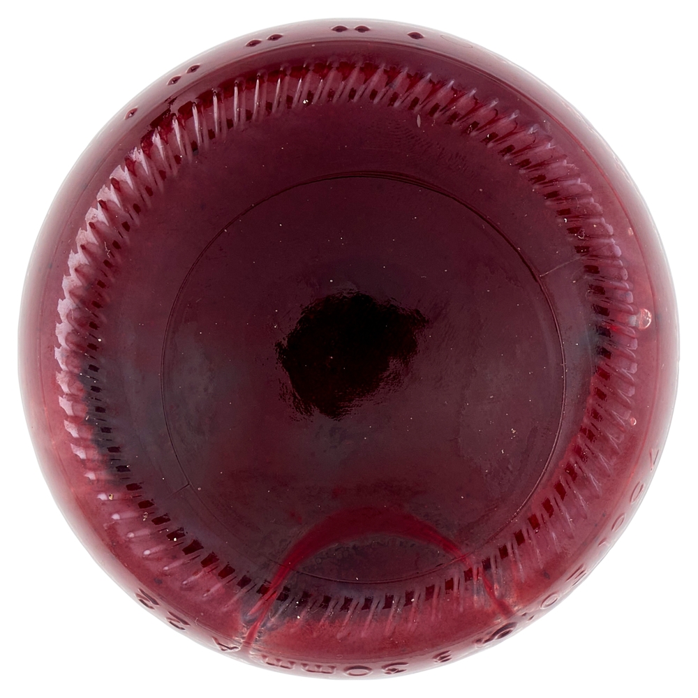 Mirtillo BIO il Viaggiator Goloso