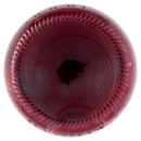 Mirtillo BIO il Viaggiator Goloso