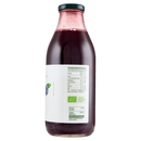 Mirtillo BIO il Viaggiator Goloso