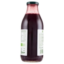 Mirtillo BIO il Viaggiator Goloso