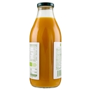 Mela, Mango e Passion Fruit BIO Il Viaggiator Goloso