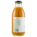 Mela, Mango e Passion Fruit BIO Il Viaggiator Goloso