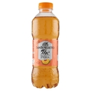 San Benedetto Thè Pesca 0,5 L