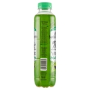 San Benedetto Thè Le Specialità Verde Matcha 0,40L