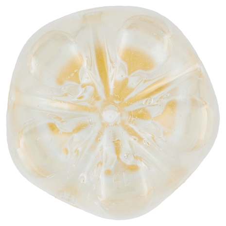 Schweppes Tonica Zero 1 L PET