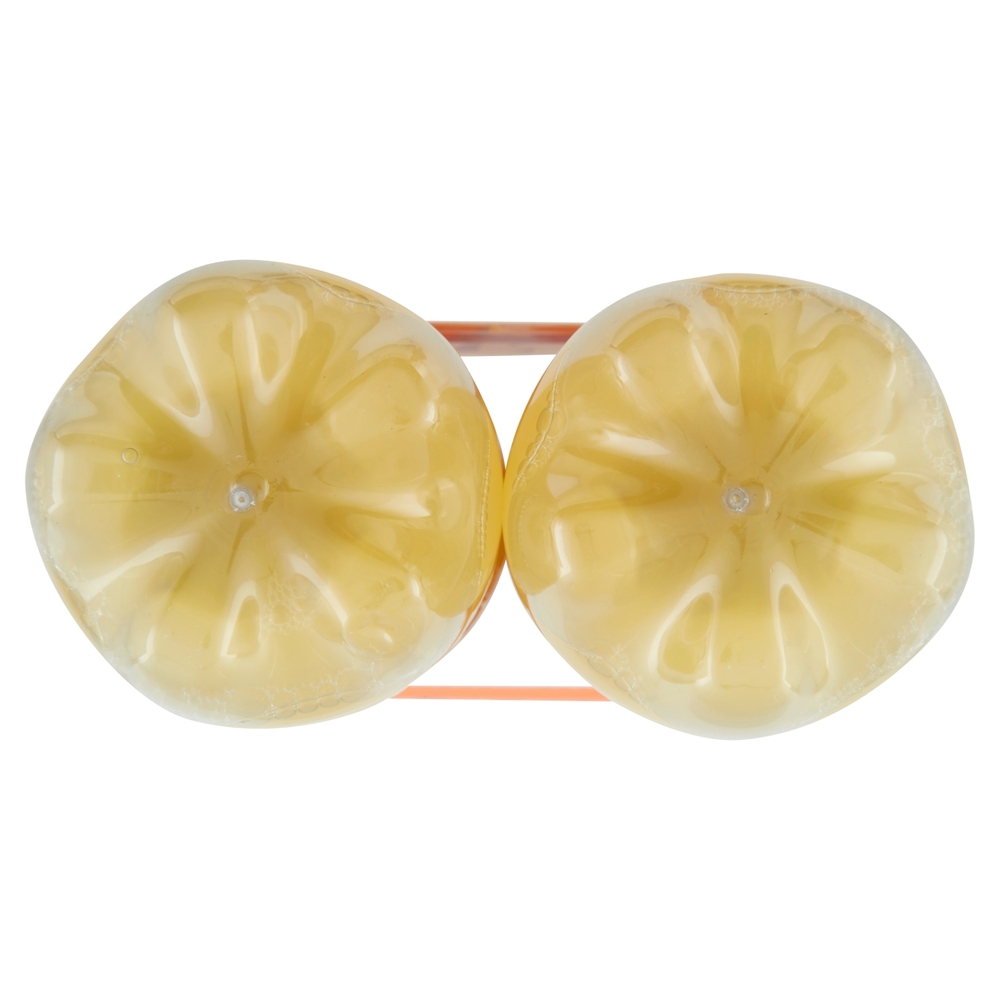 FANTA Original, Bibita Gassata 2x1L (PET)