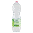 San Benedetto Acqua Naturale Benedicta Ecogreen 2 L