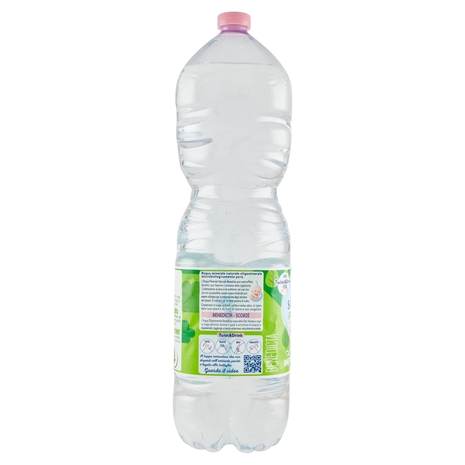 San Benedetto Acqua Naturale Benedicta Ecogreen 2 L