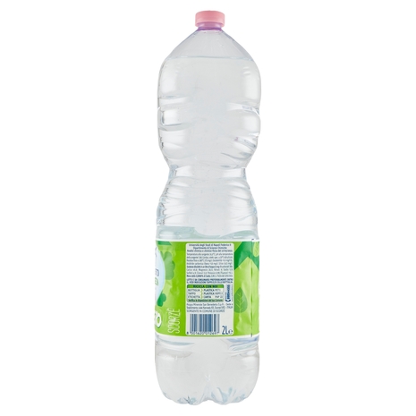 San Benedetto Acqua Naturale Benedicta Ecogreen 2 L