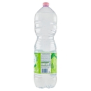 San Benedetto Acqua Naturale Benedicta Ecogreen 2 L
