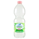 San Benedetto Acqua Naturale Benedicta Ecogreen 0,5 L